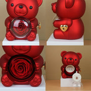 Eternal Rose Teddy Bear with Necklace