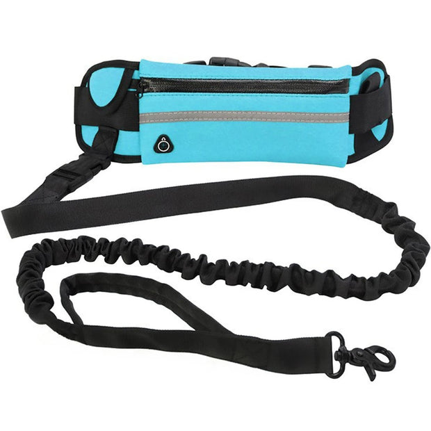 Aqua Hands Free Dog Leash for Active Pet Owners - Aqua