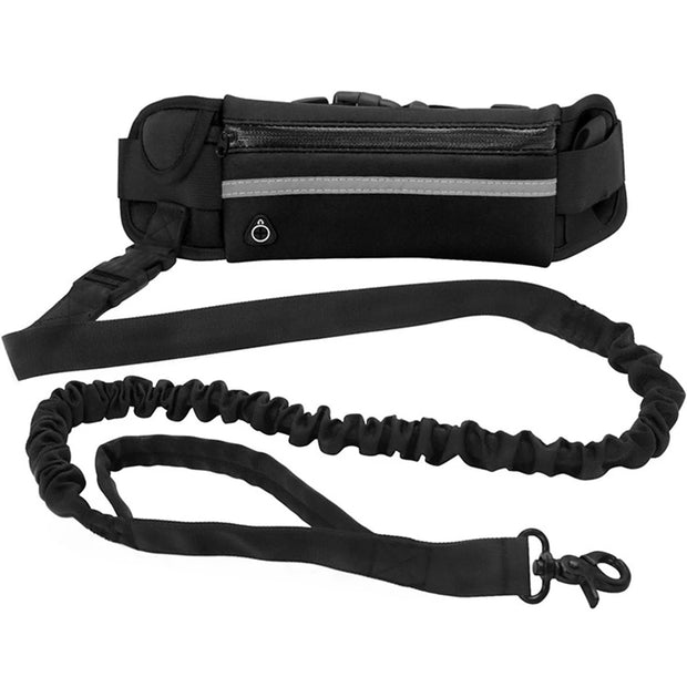 Aqua Hands Free Dog Leash for Active Pet Owners - Aqua