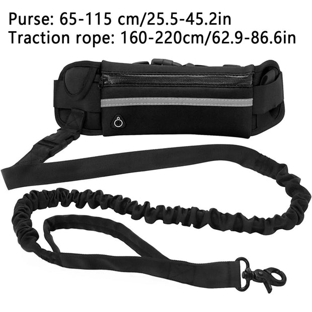 Aqua Hands Free Dog Leash for Active Pet Owners - Aqua