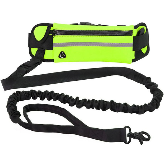 Aqua Hands Free Dog Leash for Active Pet Owners - Aqua