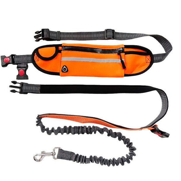 Aqua Hands Free Dog Leash for Active Pet Owners - Aqua