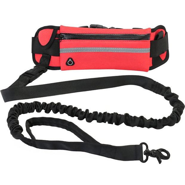 Aqua Hands Free Dog Leash for Active Pet Owners - Aqua