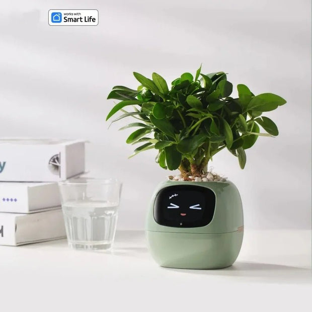 Aqua Smart Flower Pot with Cute Design - Aqua