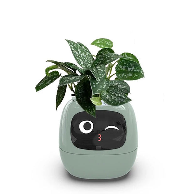 Aqua Smart Flower Pot with Cute Design - Aqua