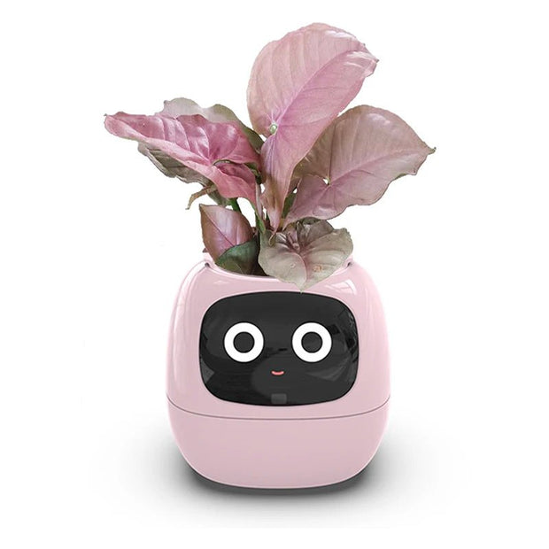 Aqua Smart Flower Pot with Cute Design - Aqua