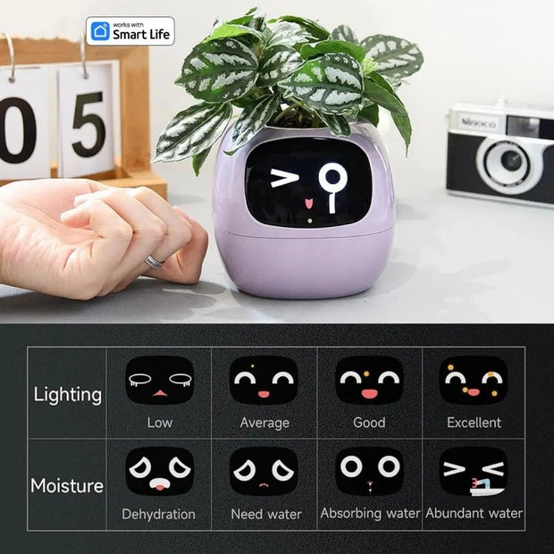 Aqua Smart Flower Pot with Cute Design - Aqua