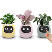 Aqua Smart Flower Pot with Cute Design - Aqua
