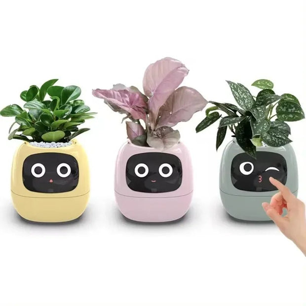 Aqua Smart Flower Pot with Cute Design - Aqua