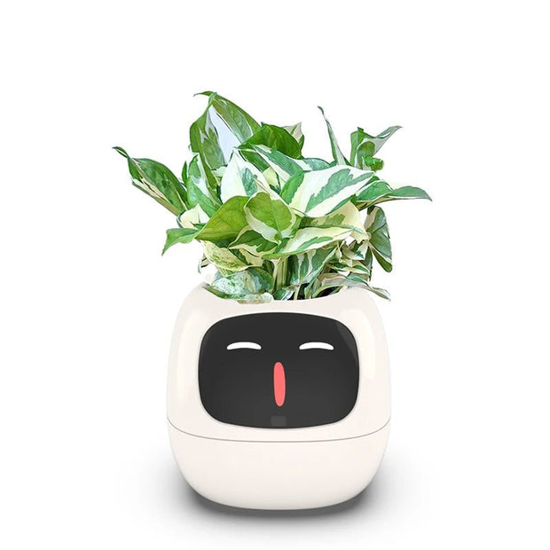 Aqua Smart Flower Pot with Cute Design - Aqua
