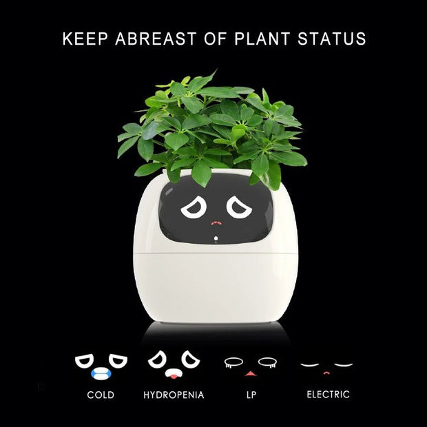 Aqua Smart Flower Pot with Cute Design - Aqua