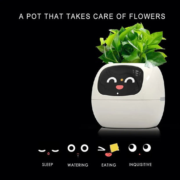 Aqua Smart Flower Pot with Cute Design - Aqua