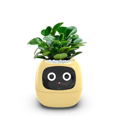 Aqua Smart Flower Pot with Cute Design - Aqua